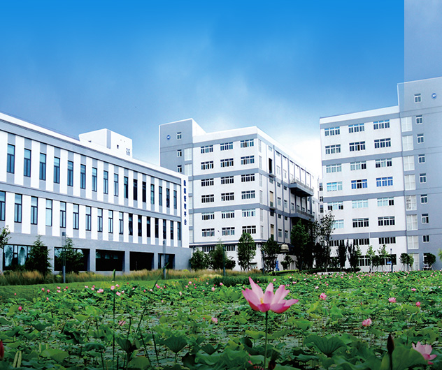 高標(biāo)準(zhǔn)廠房 多種規(guī)格